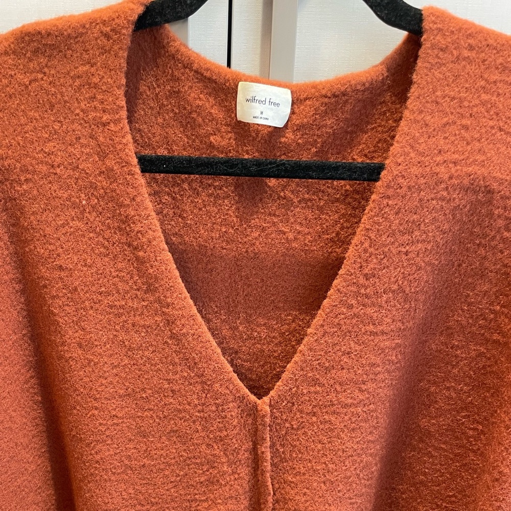 Wilfred Free Rust V-Neck Sweater - Picture 6 of 8